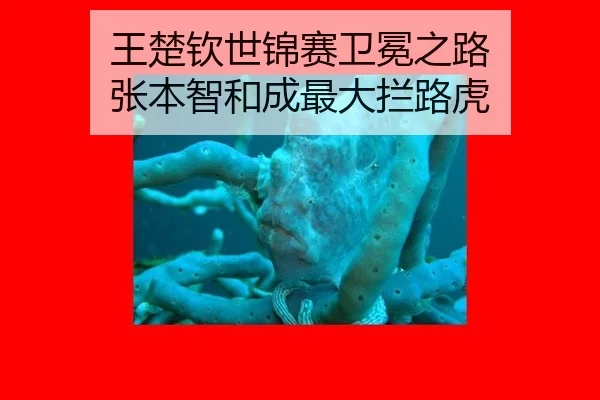 王楚钦世锦赛卫冕之路 张本智和成最大拦路虎